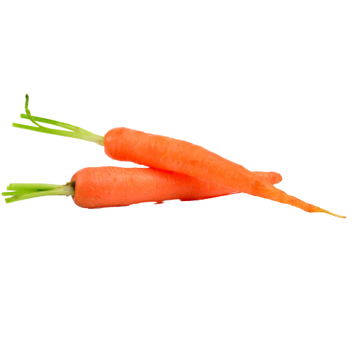 Feast - Baby Carrots