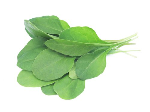 Feast - Baby Spinach (Hydroponic)