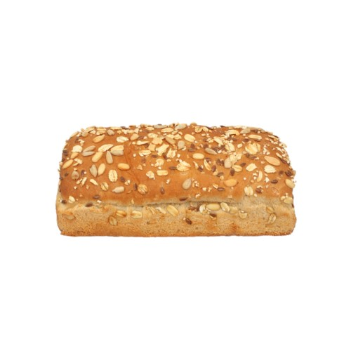 Feast - Multigrain Panini