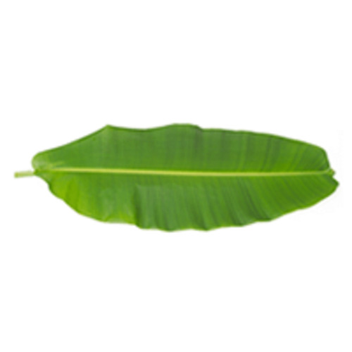 Nirma - Banana Leaf