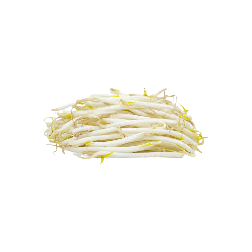 Feast - Beans Sprouts