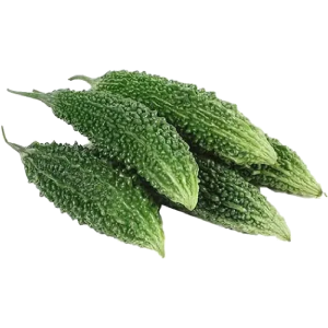 Golden Crown - Bitter Gourd (Karle)