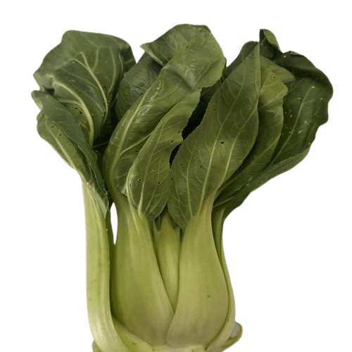 Feast - Bok Choy