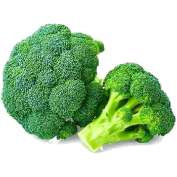 Broccoli