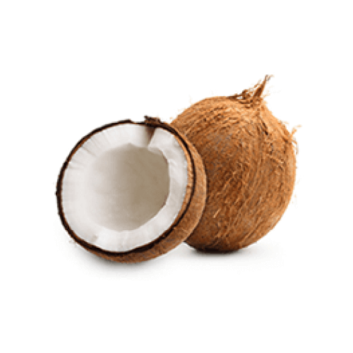 Feast - Coconut (Nariyal) Small