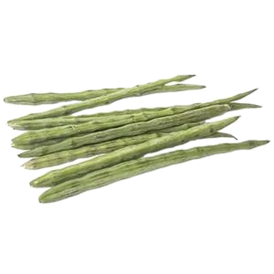 Feast - Drumstick (Shevga)