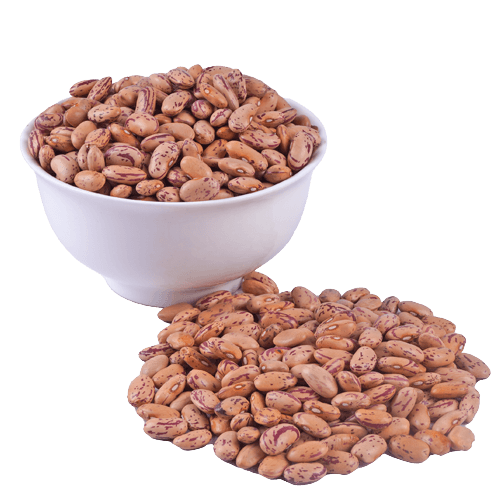 Economy - Staff Rajma Chitra