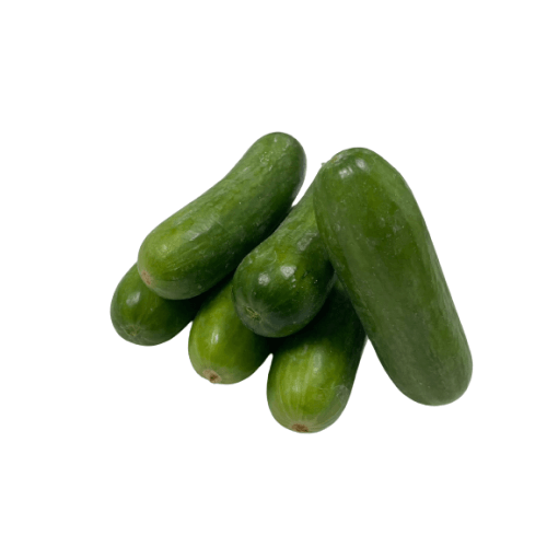 Feast - English Cucumber
