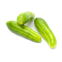 Feast - Ivy Gourd (Tendly)