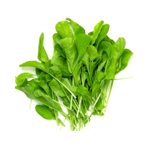 Feast - Lettuce Rocket/Argula