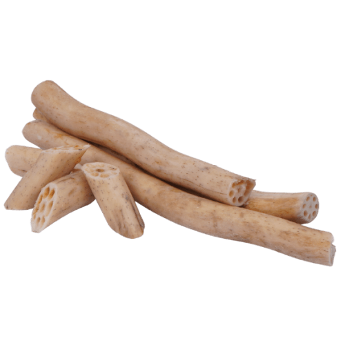 Feast - Lotus Stem