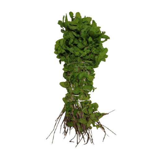 Feast - Mint Leaves