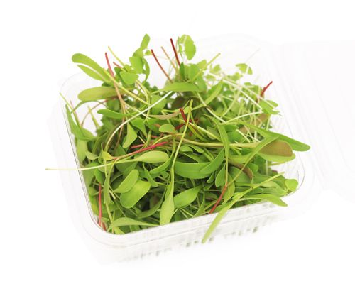 Feast - Mix Microgreens (Hydroponic)
