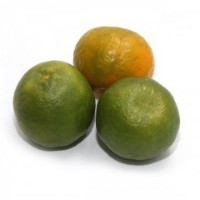 Feast - Orange Nagpur