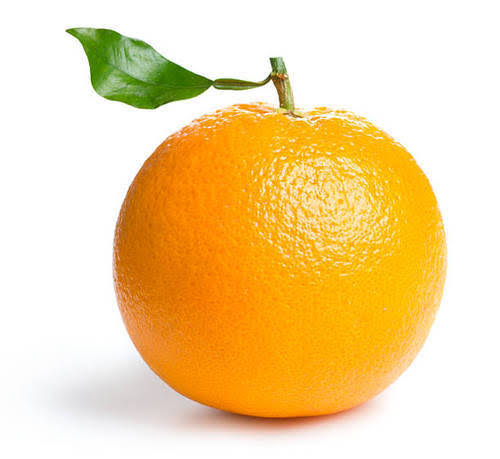 Feast - Orange