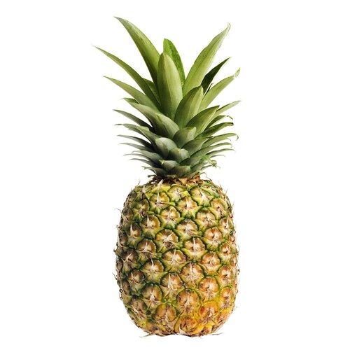Everest - Pineapple/Ananasa (Juice Grade)