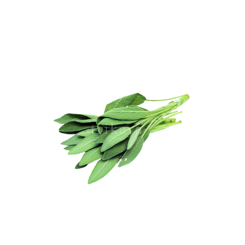 Feast - Sage Fresh