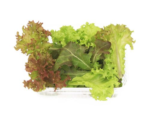 Feast - Salad Mix (hydroponic)