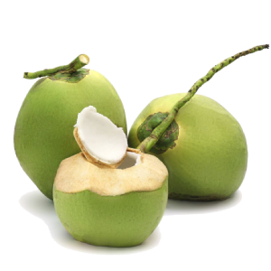 Feast - Tender Coconut