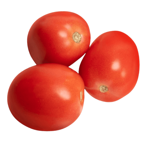 Feast - Tomato Hybrid (Large)