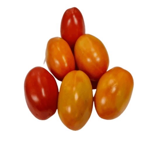 Feast - Tomato Hybrid (Mixed Size/Ripeness)