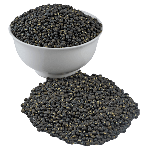 Feast - Urad Sabut