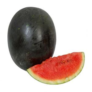 Feast - Watermelon