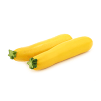 Feast - Zucchini Yellow (Premium)